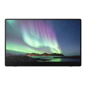 RICOH 150BW Monitor przenośny